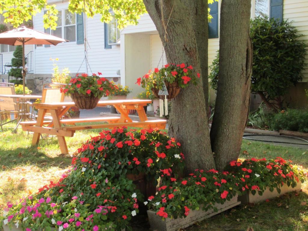 Founder'S Brook Motel And Suites Portsmouth Exterior foto